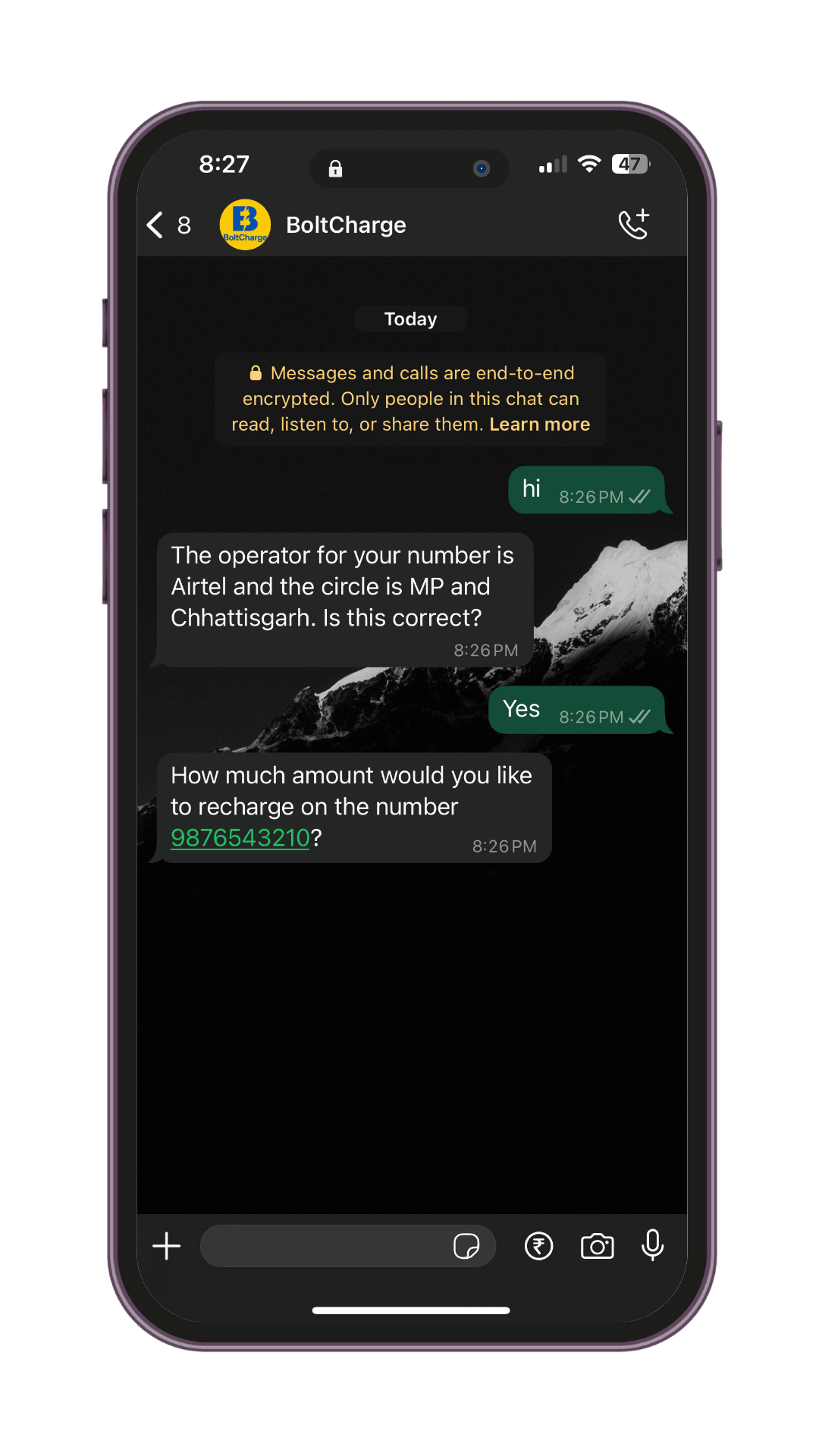 WhatsApp Chat with BoltCharge